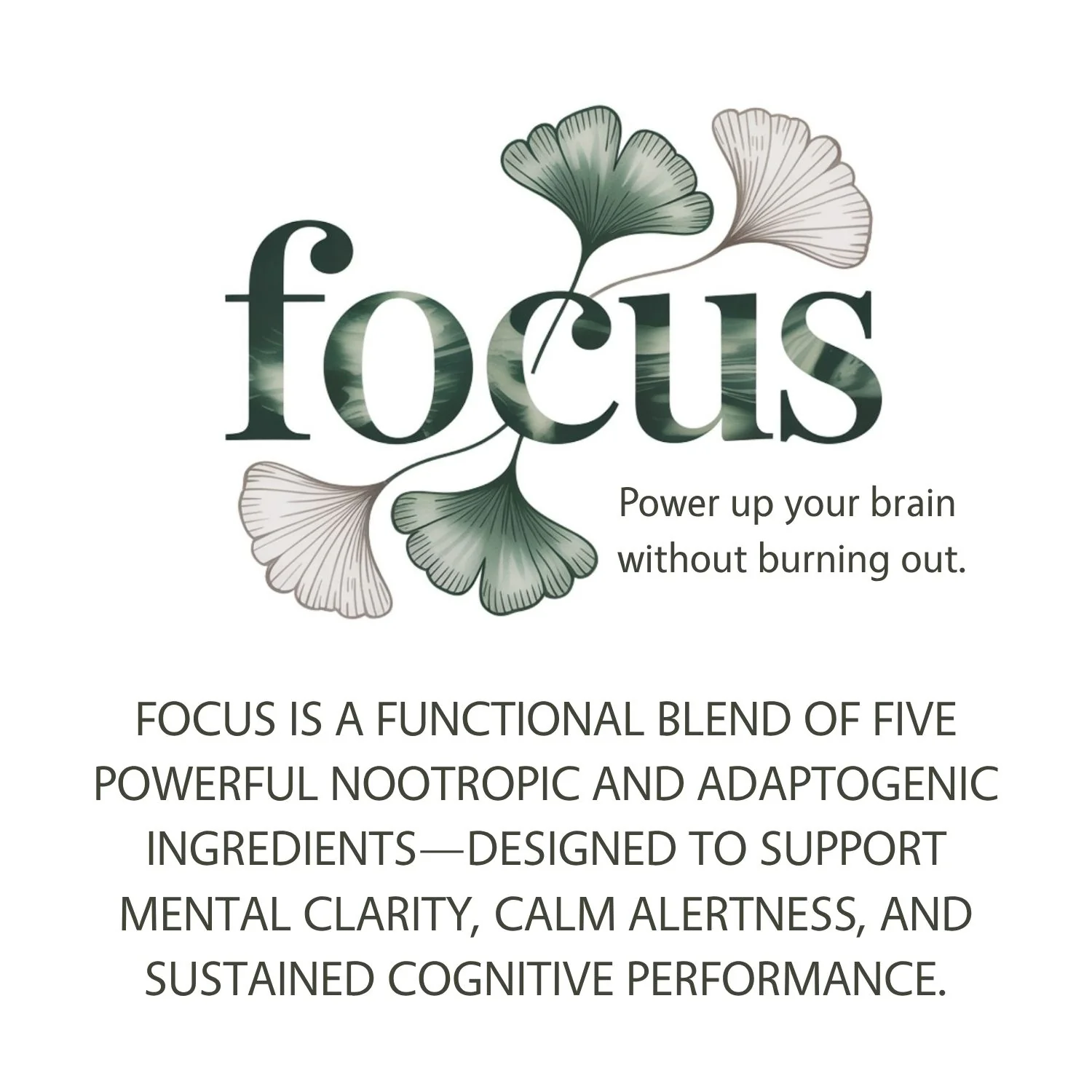Focus Blend  — A Steadier Way to Start - Image 4