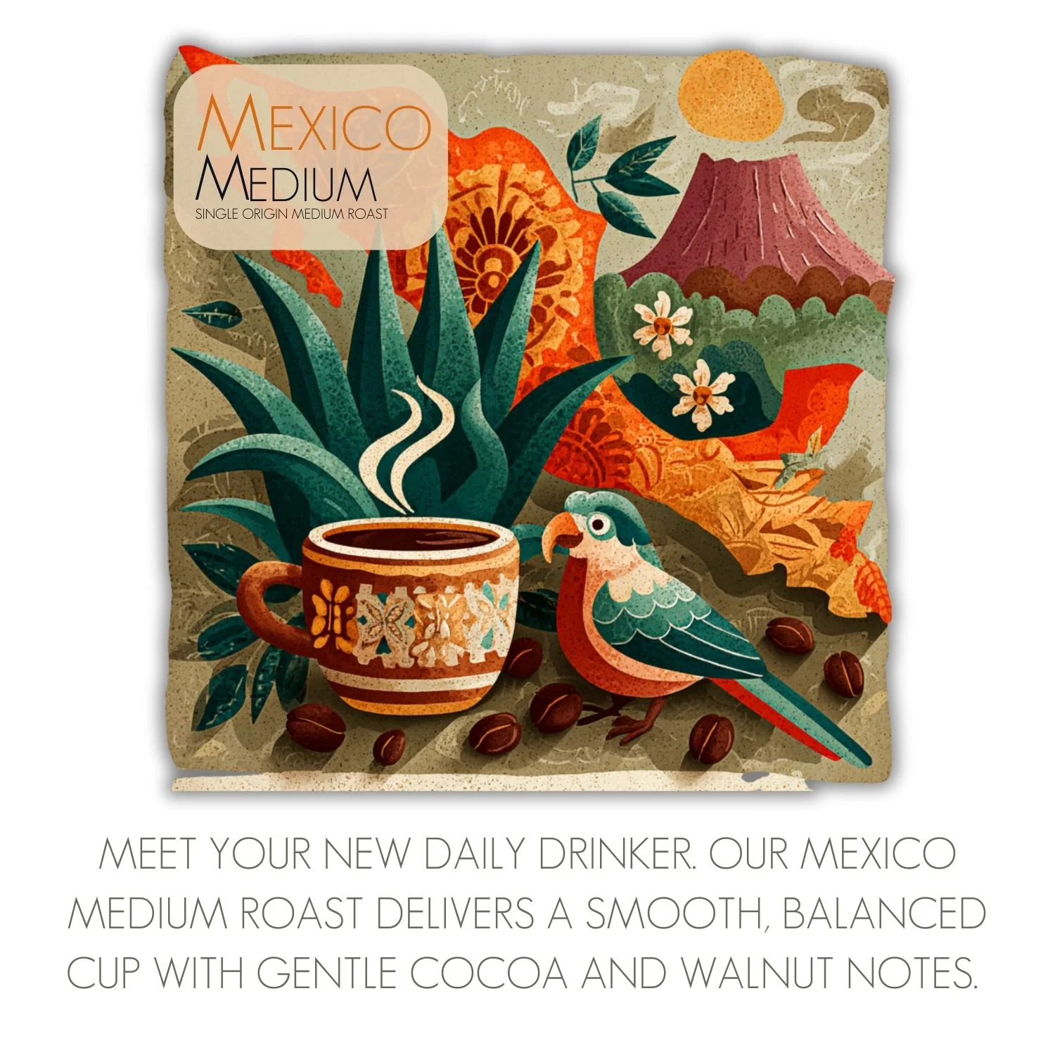 Mexico Medium Roast Coffee | Smooth, Balanced, Cocoa & Walnut | Java Momma - Image 7